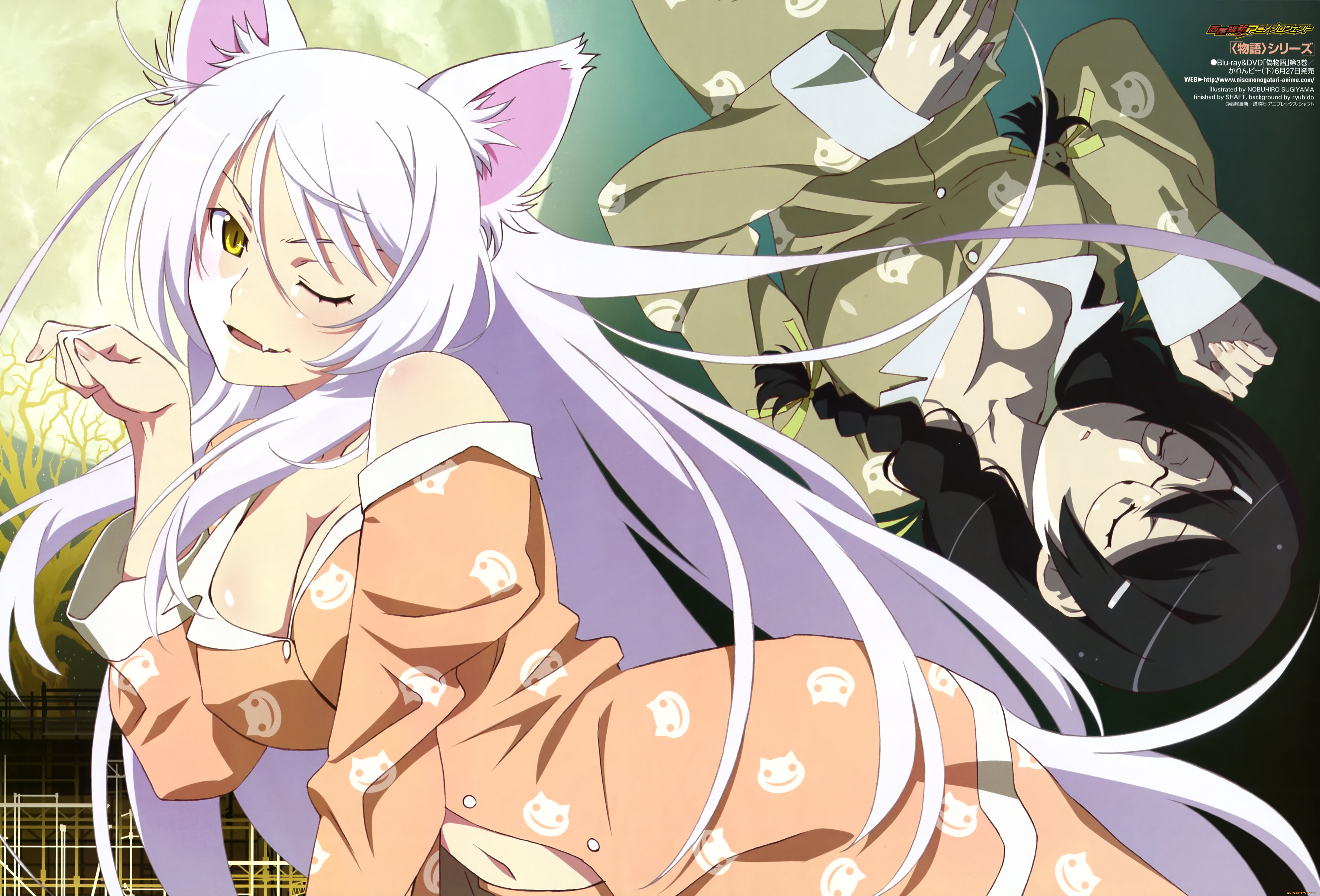 , bakemonogatari, , , hanekawa tsubasa, , , , 